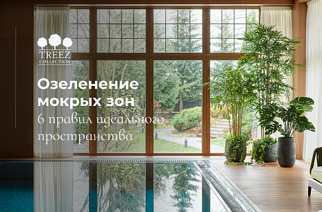 Сад у воды: эстетика и стойкость от TREEZ